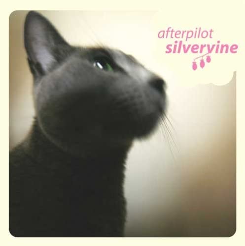 

CD AFTERPILOT - silvervine Japan ObiRock Used