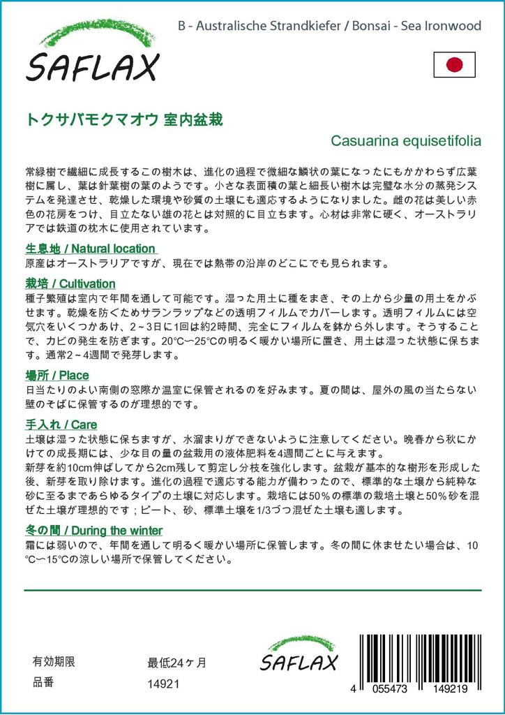 SAFLAX Garden In the Bag - Bonsai - Sea Ironwood - 200 Seeds - With Substrate In a Fitting Stand Up Bag - Casuarina Equisetifolia