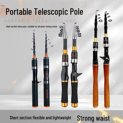 Telescopic Carbon Fishing Rod with Baitcasting & Spinning Reels for Micro-Lure and Black Bass.