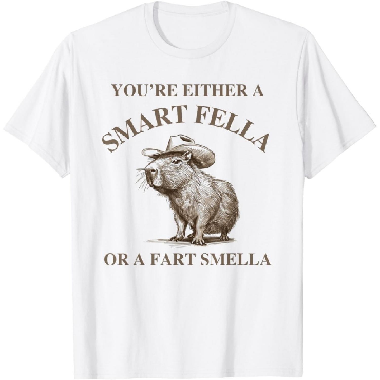 

ChrYSm You Either A Smart Fella or A Fart Smell A - Funny Meme T-Shirt XXXXXL білий