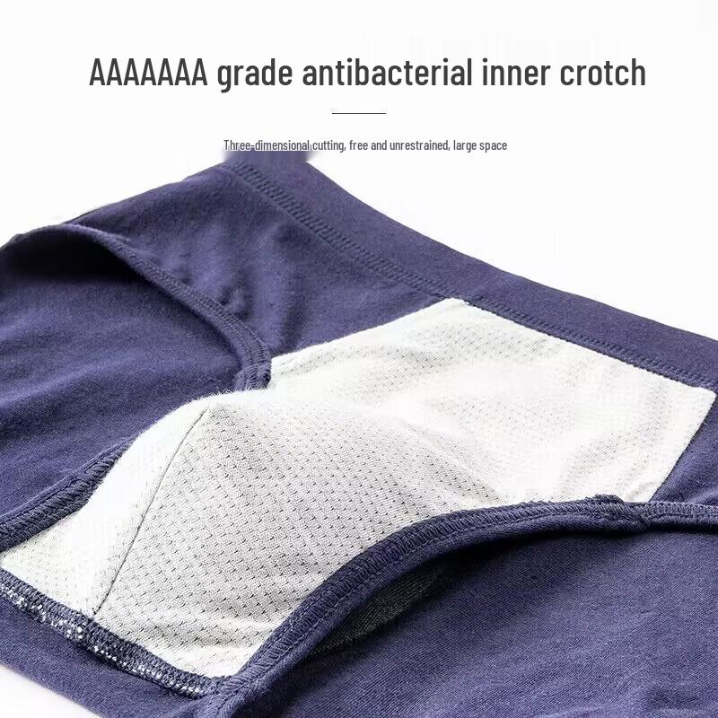 Langsha Men's 7A Antibacterial Cotton Briefs (4-Pack)