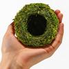 Moisturizing Reptiles Hideaway Cave Grass Woven Moss Shelter Rest Cave for Snake Lizards Terrariums Decoration