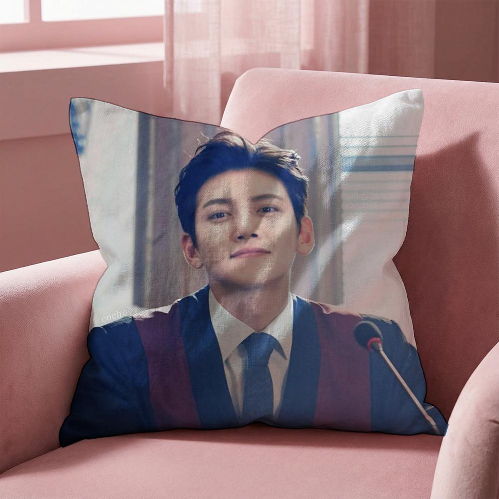 J-Ji C-Chang Wook Cushion Cover Multi-Scene Pillow Cover for Home & Car - Reversible, Soft & Durable for Daily Use
