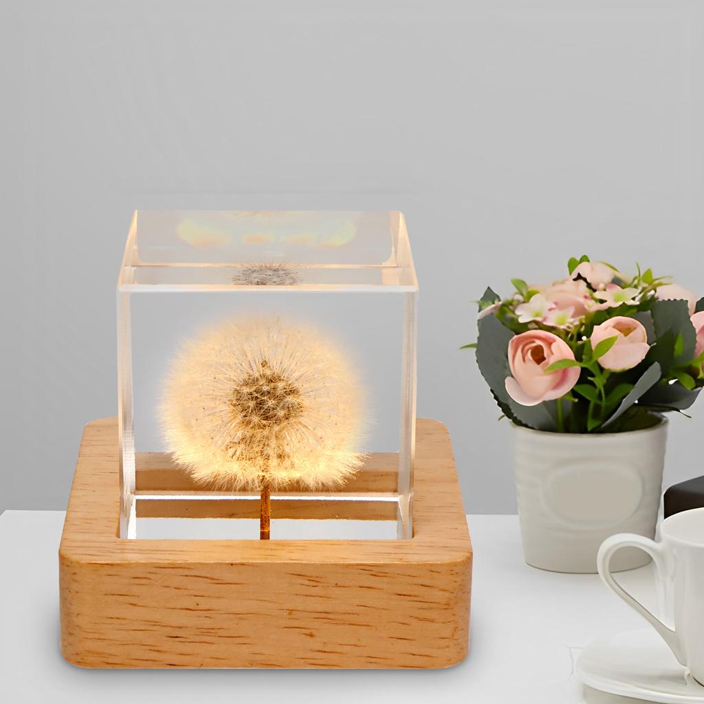 Crystal Ball Night Lights 3D Dandelion Luminous Table Lamp Bedroom Home Decor for Kids Party Children Birthday Gifts Flower Lamp