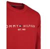 Худи Tommy Hilfiger Logo