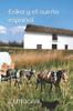 Buch Erika Y El Sueno Espanol