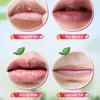 Fruit Sandwich Thermochromer Lippenbalsam Feuchtigkeitsspendender und feuchtigkeitsspendender thermochromer Lippenbalsam