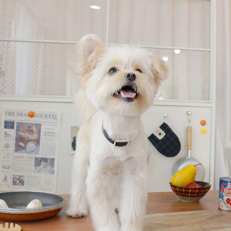 MAISON DE MIU Quadratische Perlenkette_Schwarz