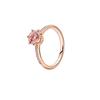 New S925 Silver Red Rose Bow Simple Love Ring Card Snowflake Series Ice Linghua Gold Bee Flower Ring Jewelry