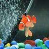 Luminous Glowing Floating Simulation Clownfish Fighting Fish Aquarium Decor