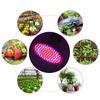 200LED Plant Light Single Head LED Plants Growing Light for Garden Greenhouse 85V-265V