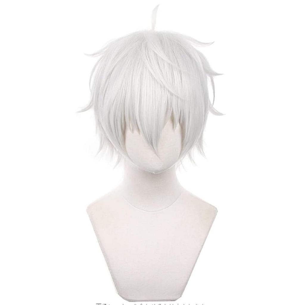 Cosplay Blue Seishiro Suitable for Anime Cosplay School and Photo Shoots Wig Wig, Locks, Nagi, Heat-Resistant, Parties, Events, Halloween, (Includes