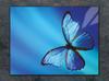 SZKLANA DESKA DO KROJENIA 40x30 MOTYL