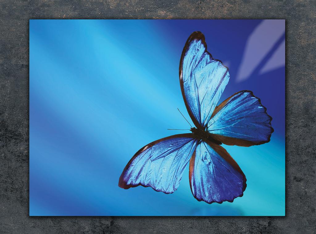 SZKLANA DESKA DO KROJENIA 40x30 MOTYL