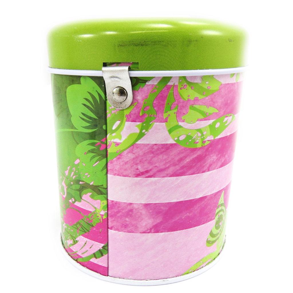 Les Trésors De Lily [L6877] - Green 'Fairy Dreams' Metal Piggy Bank