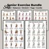 Exerciții de Mobilitate pentru Vârstnici Set 5 Bucăți Scaun Echilibru Întindere Yoga Exerciții Poster pentru Seniori Plan de Antrenament Acasă cu Impact Redus Anti-Cădere & Ghid Fitness pe Perete