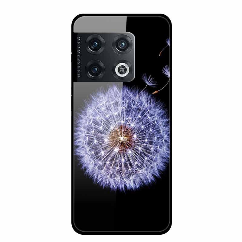 For One plus 10 Pro Case Shockproof Tempered Glass Hard Back Cover For OnePlus 10 Pro 10Pro Oneplus10 1+10 Pro Bumper Coque Case