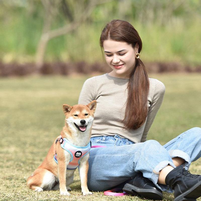 Pet Chest Harness Gradient Dog Leash Vest-style Dog Walking Rope Small and Medium-Sized Dog Harness