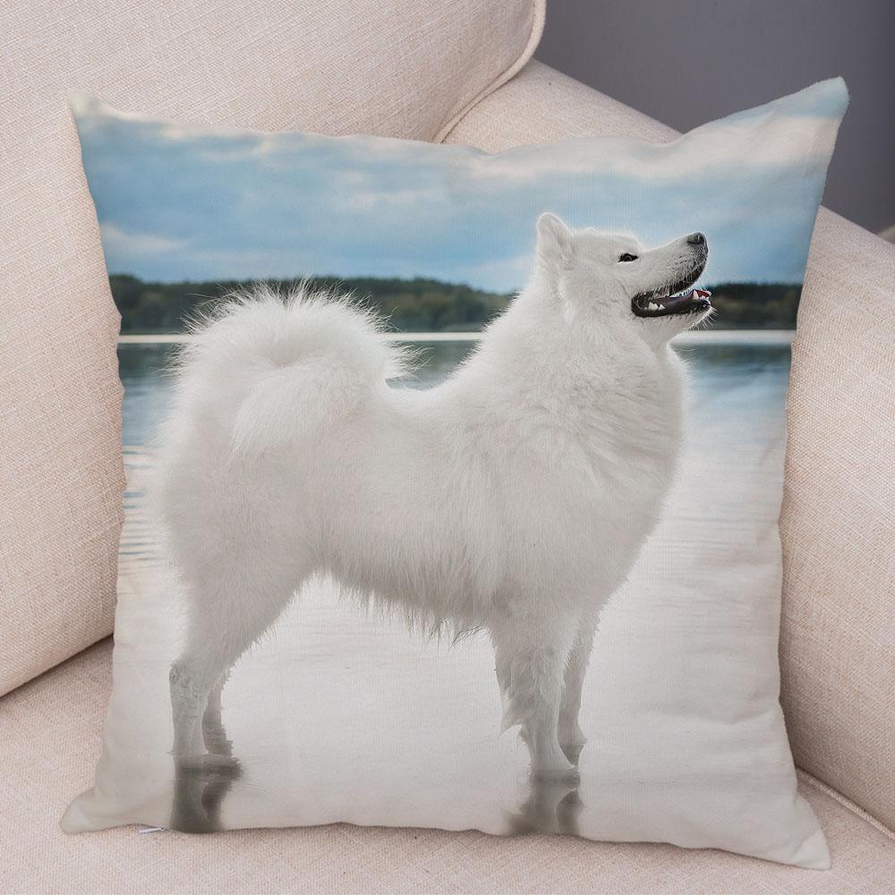 50 Stil Husă de Pernă Câine Alb Drăguț Samoyed Decor Husă de Pernă Animal de Companie Iubitor Husă de Pernă Moale de Pluș pentru Canapé Cameră Copii