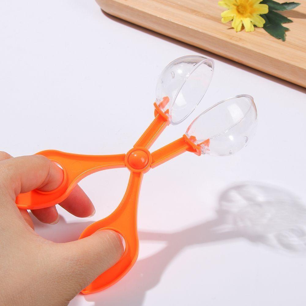 2Pcs/Set Plant Insect Catcher Set Plastic Nature Exploration Toy Kit Biology Study Tool Set  Kids