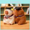 Cute Capybara Plush Toy Doctor Doll With Graduation Hat Soft Stuffed Animal Gift For Students