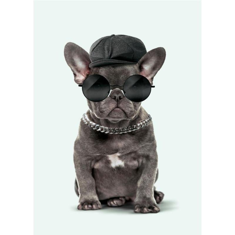 

Fashion poster with animals, cat, dog, bird, duck, funny painting on canvas, painting with a print on the wall, modern decoration for the house, 21*30cm No Frame