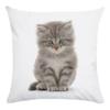 Home Decor Animal Cute Cat Print Pillow Cover Cushion Cover Living Room Accessories