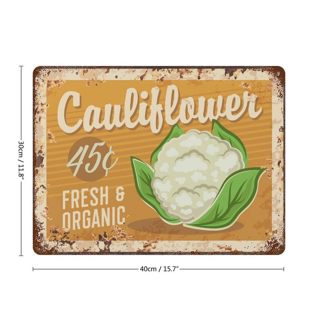 1-Pack Vintage Rustic Metal Art Board, 20×30cm and 30×40cm, Distressed Wall Décor for Bar, Workshop or Office