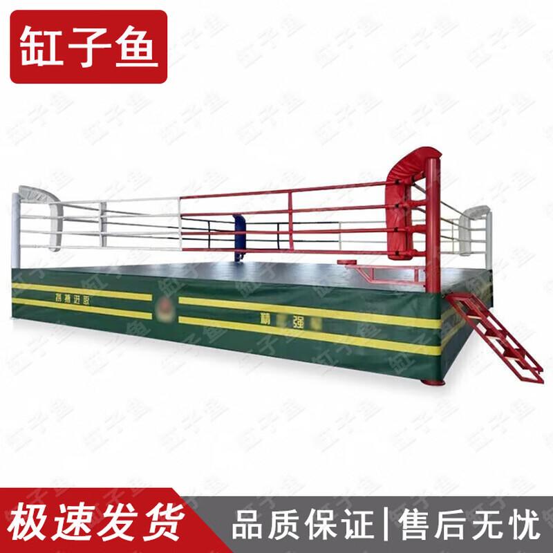 Professional Boxing & MMA Training Ring