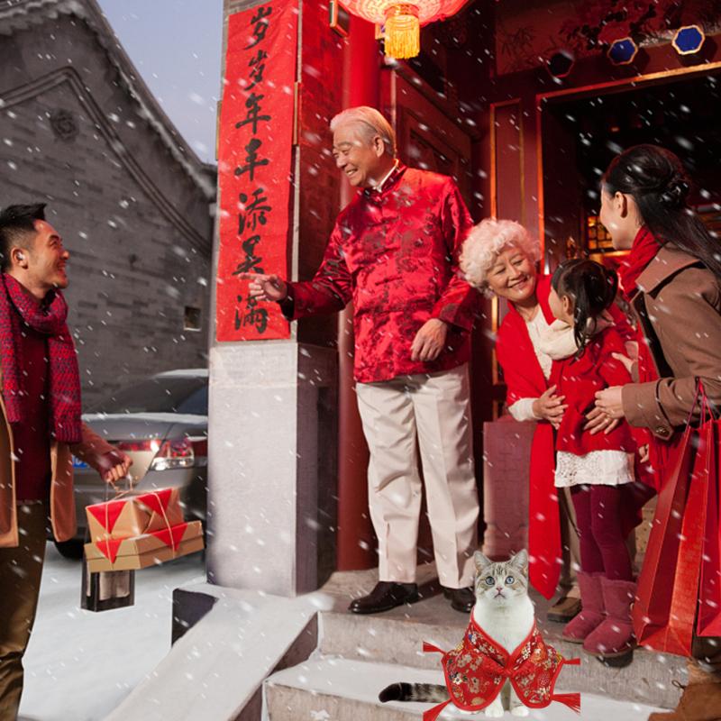 Neujahrsstil Haustier Schal Festliches Muster Quastenanhänger Weich Bequem Chinesischer Umhang Feiertag