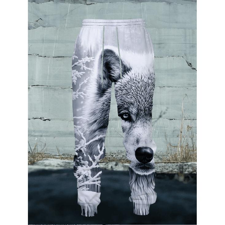 Winter Snowfield Gray Wolf Theme 3D Printed Hoodie And Long Pants 2pcs Set, with Polar Wilderness Elements And Cool Texture