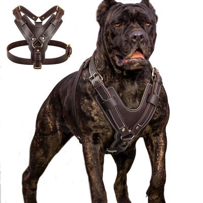 Durable Large Dog Harness Genuine Leather Dog Vest Harnesses Adjustable Quick Control With Handle Pet Supplies For Labrador