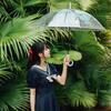 Mibodi Ultra-Light Transparent Straight Handle Umbrella