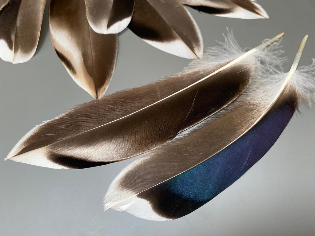 50/100PCS Wild Duck Feathers for Craft Natural Pheasant Plume Making DIY Handicraft Accessories Wedding Party Jewelry Gift Decor