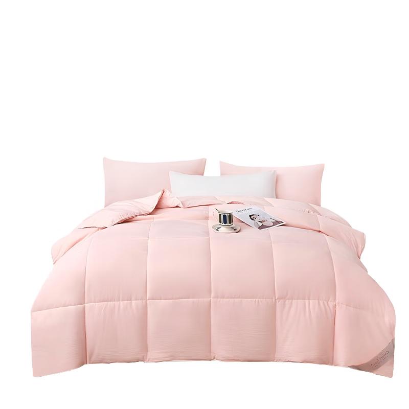 

Cloud Antibacterial All-Season Quilt