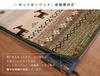 Ikehiko Rug Mat Carpet Large Rectangle DX Ladi 200 X 300cm Green Soft Touch Flannel Approx. #5667949