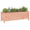 VidaXL Lit surélevé de jardin 119,5x40x39 cm bois douglas massif 825266