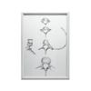 Kręgosłup W Szczegółach: Anatomia C6, C7, Th5 I L4 - Plakat Anatomiczny Kręgosłup W Szczegółach: Anatomia C6, C7, Th5 I L4 - Plakat Anatomiczny, 50X70