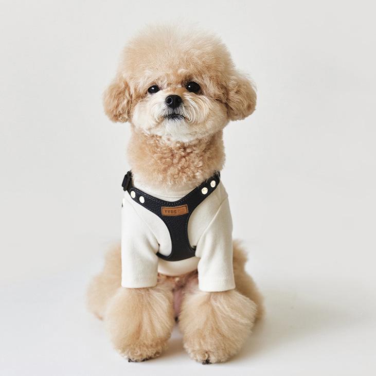 Korean Small Dog PU Leather Harness & Leash for Teddy Bichon