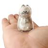 5Pcs Hair Memorial Storage Bottle Cat Cat Locket for Storing Fur