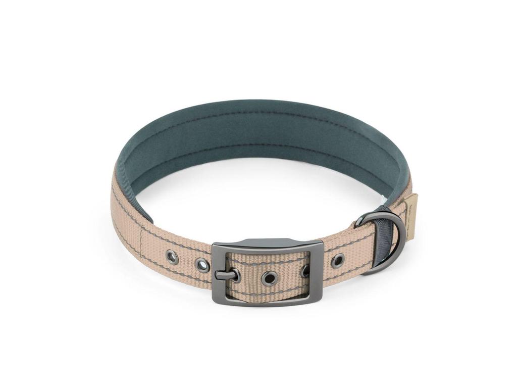 Customizable Neoprene Dog Collar: Comfortable, Non-Squeezing, Reflective Collar for Dogs of All Sizes