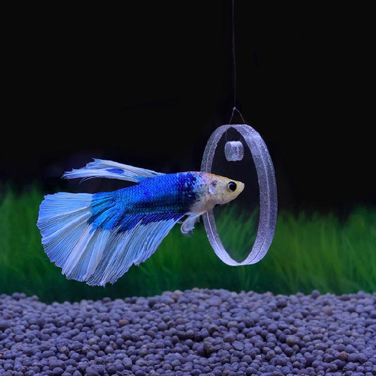 Kreis-Übungsspiegel für Betta oder andere Fische 5cm/6cm/7cm Fische für Aquarium Spielzeug