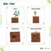 Children'S Science And Education Cognition 16 Animal, Plant And Insect Life Cycle Cards Early Childhood Education Card Toys