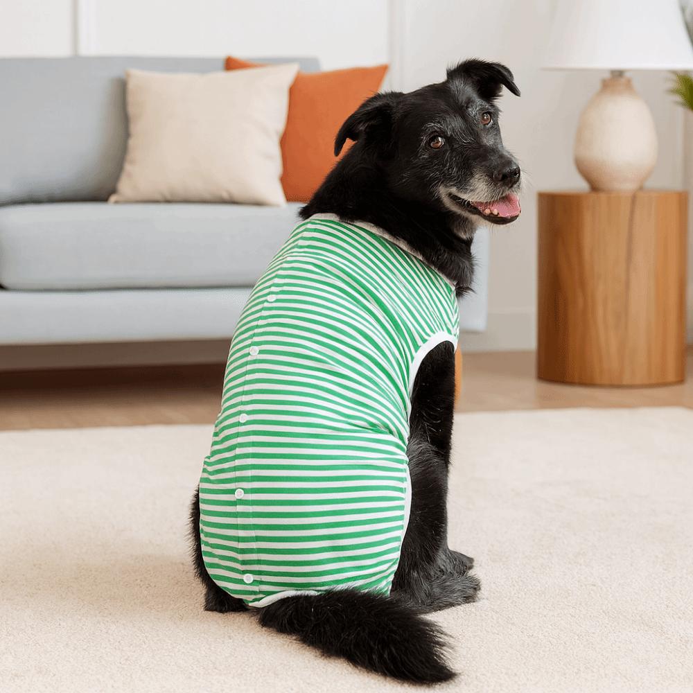 Elastic Dog Recovery Suit Washable Four-legged Pet Sterilization Suit Striped Design Anti-Licking Bodysuit Post-Operative