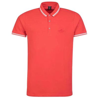 Toppe og T-shirts – Polo