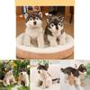 Wolf Plush Toy Animal Figurine With Short Pile Material For Kids And Adults