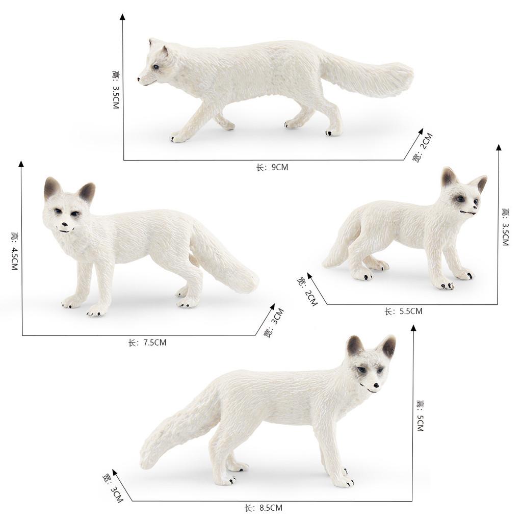 Realistic Polar Fox Model Set Four Variants Of Arctic Fox Figurines For Display And Collecting
