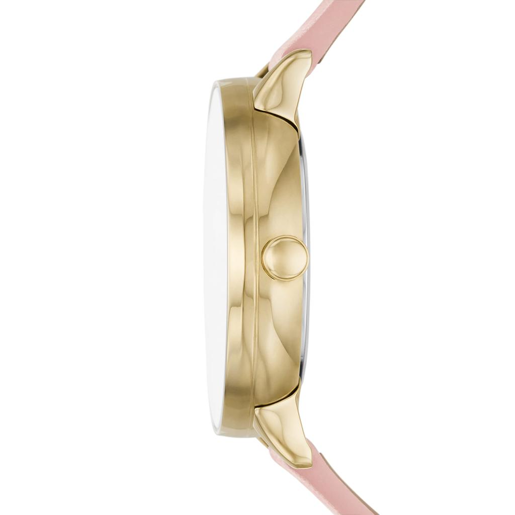 Skagen RIIS SKW3093 Women's Pink Watch
