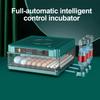6/12 Eggs Incubator With Drawer Type Mini Egg Incubator With Automatic Water Ionic Waterbed Replenishment And Temperature Contro