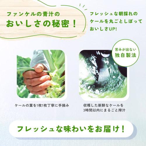 fancl 1 days worth of kale green juice  30 bottles  powder easy to drink  health food/vegetable deficiency  domestic kale vegetables kale green juice